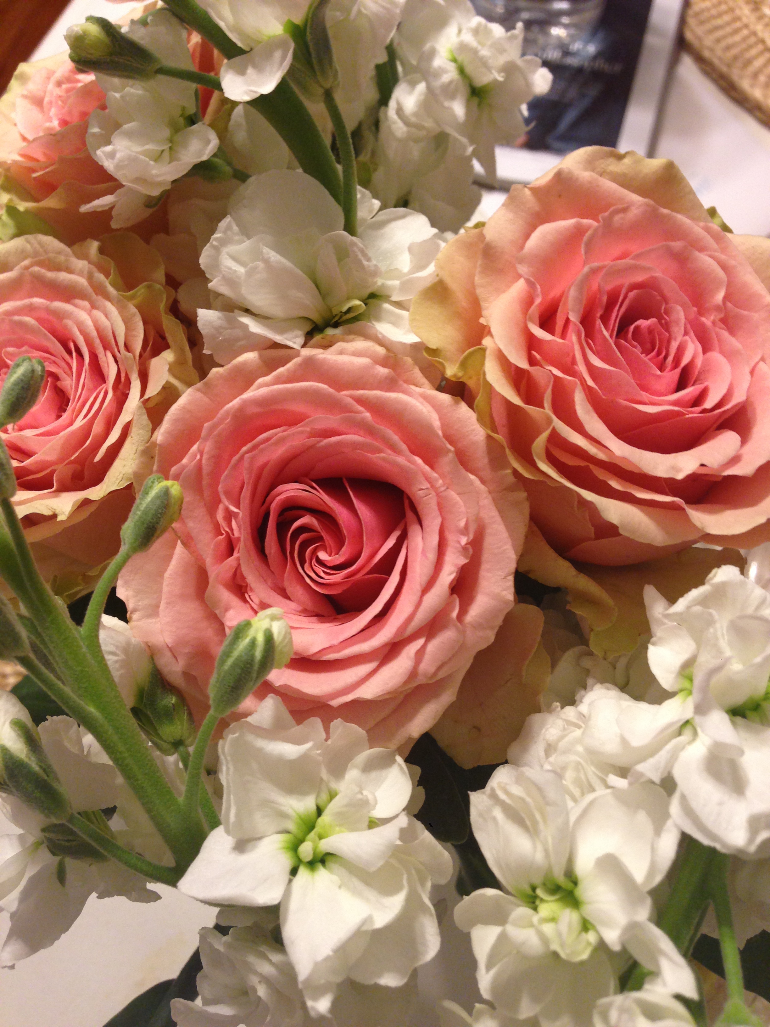 flowers.jpeg