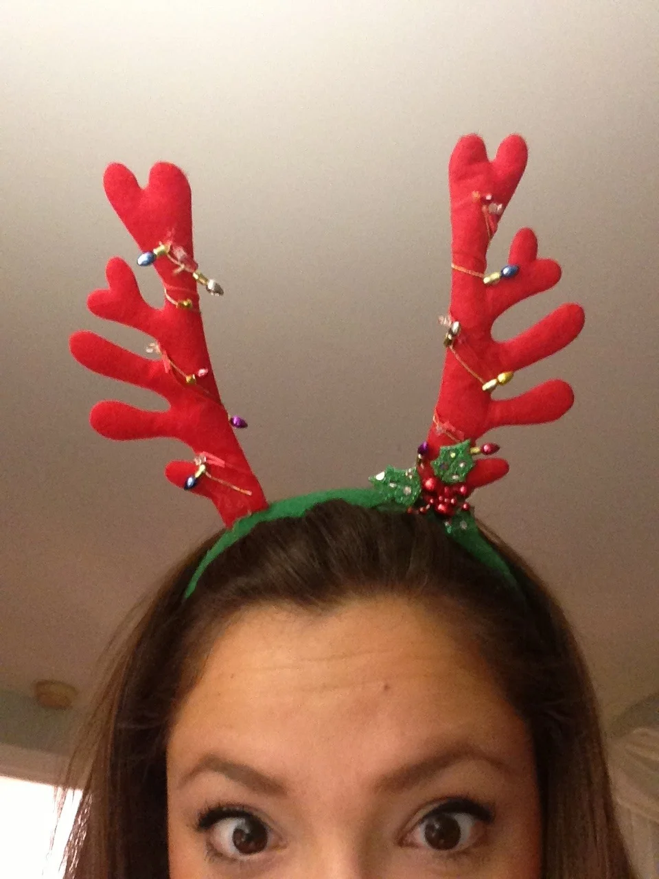 reindeer