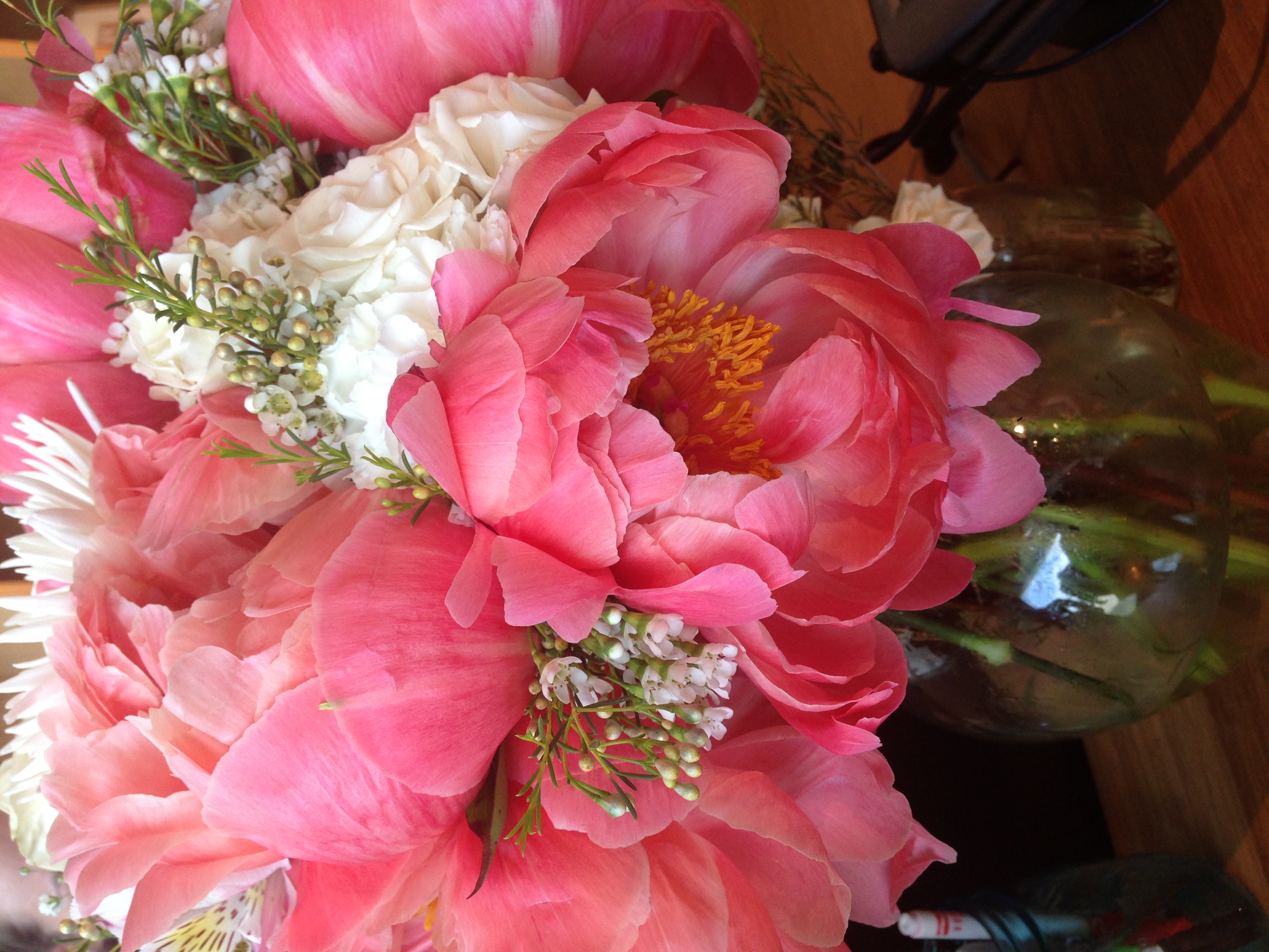 peonies.jpeg
