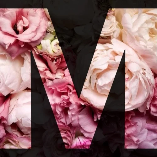 The Sizzle Series: INTRO