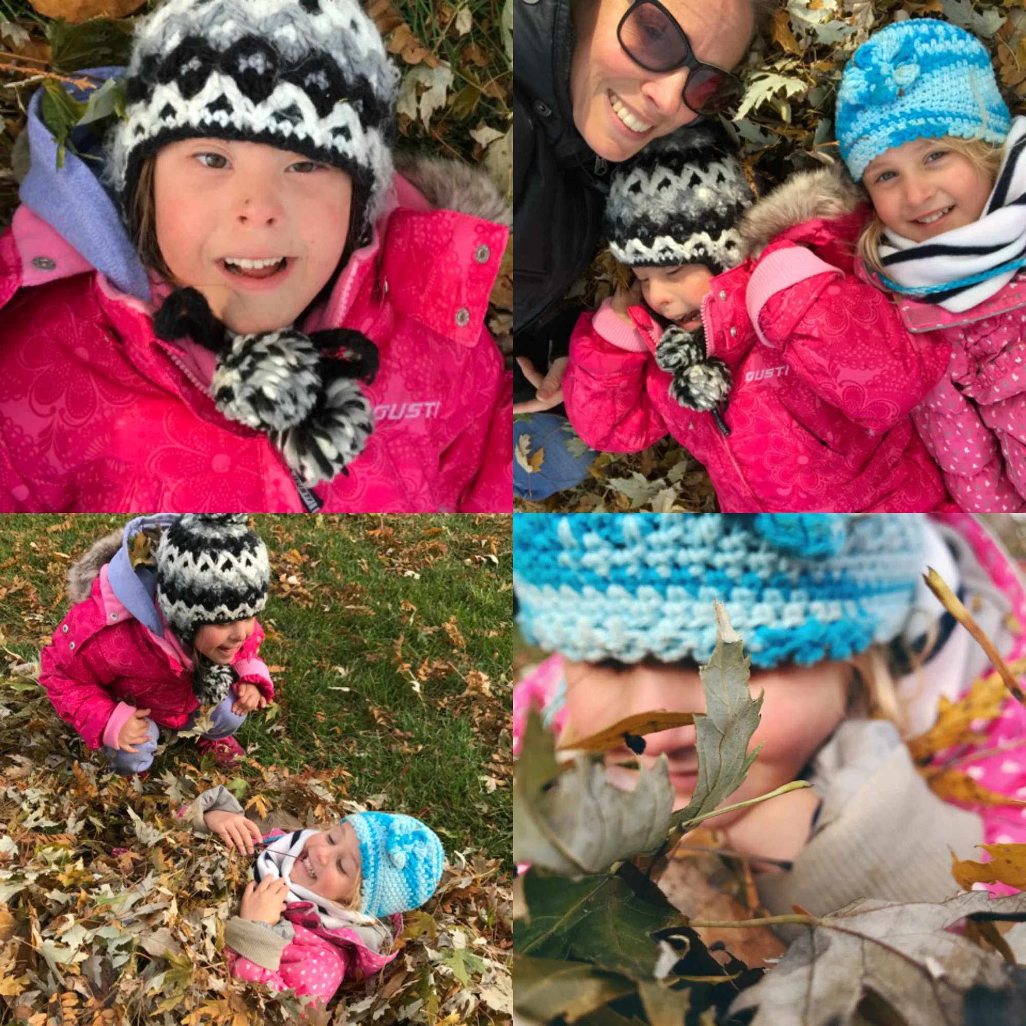 FALL.jpg