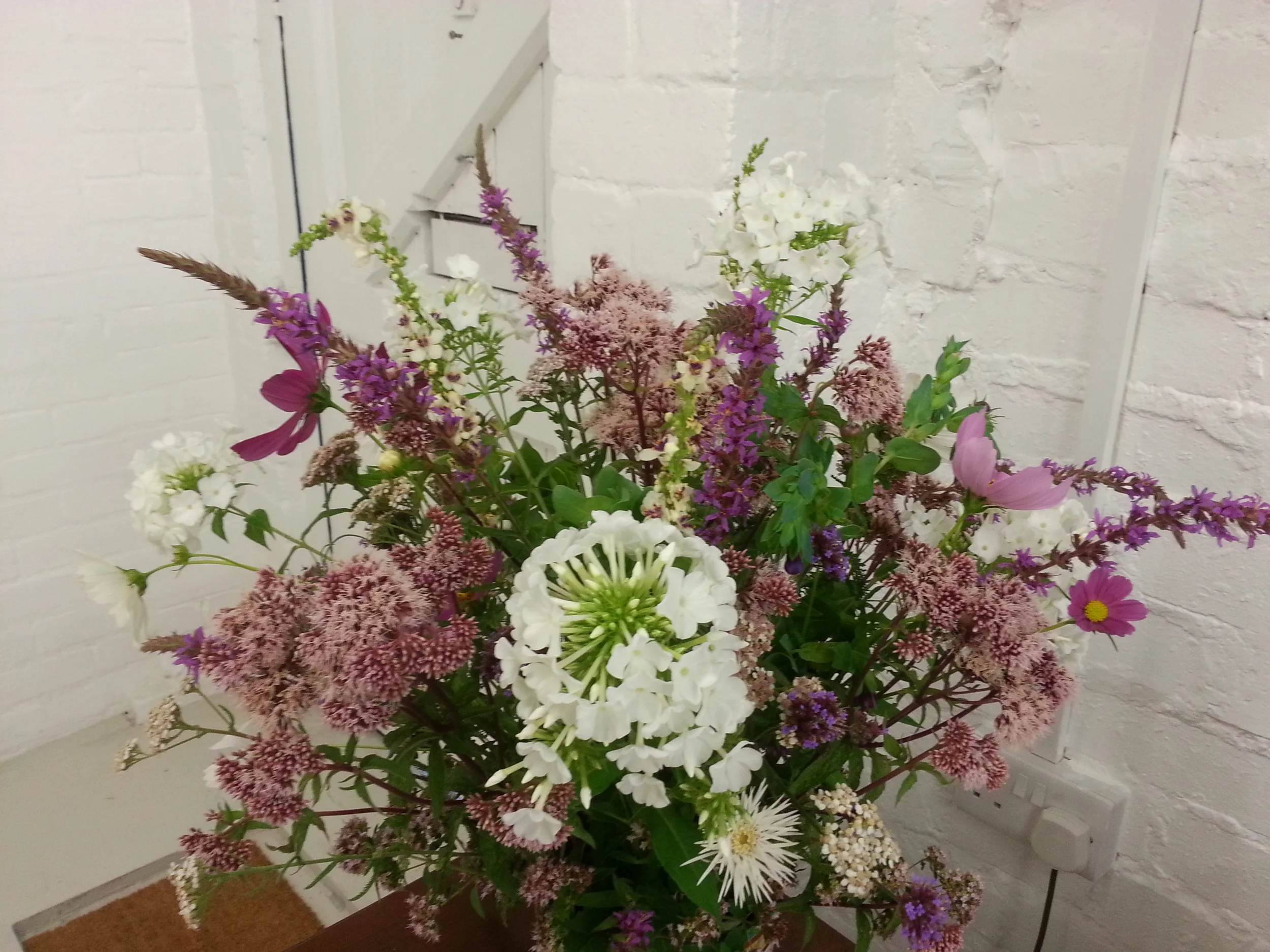 20140804_164456.jpg