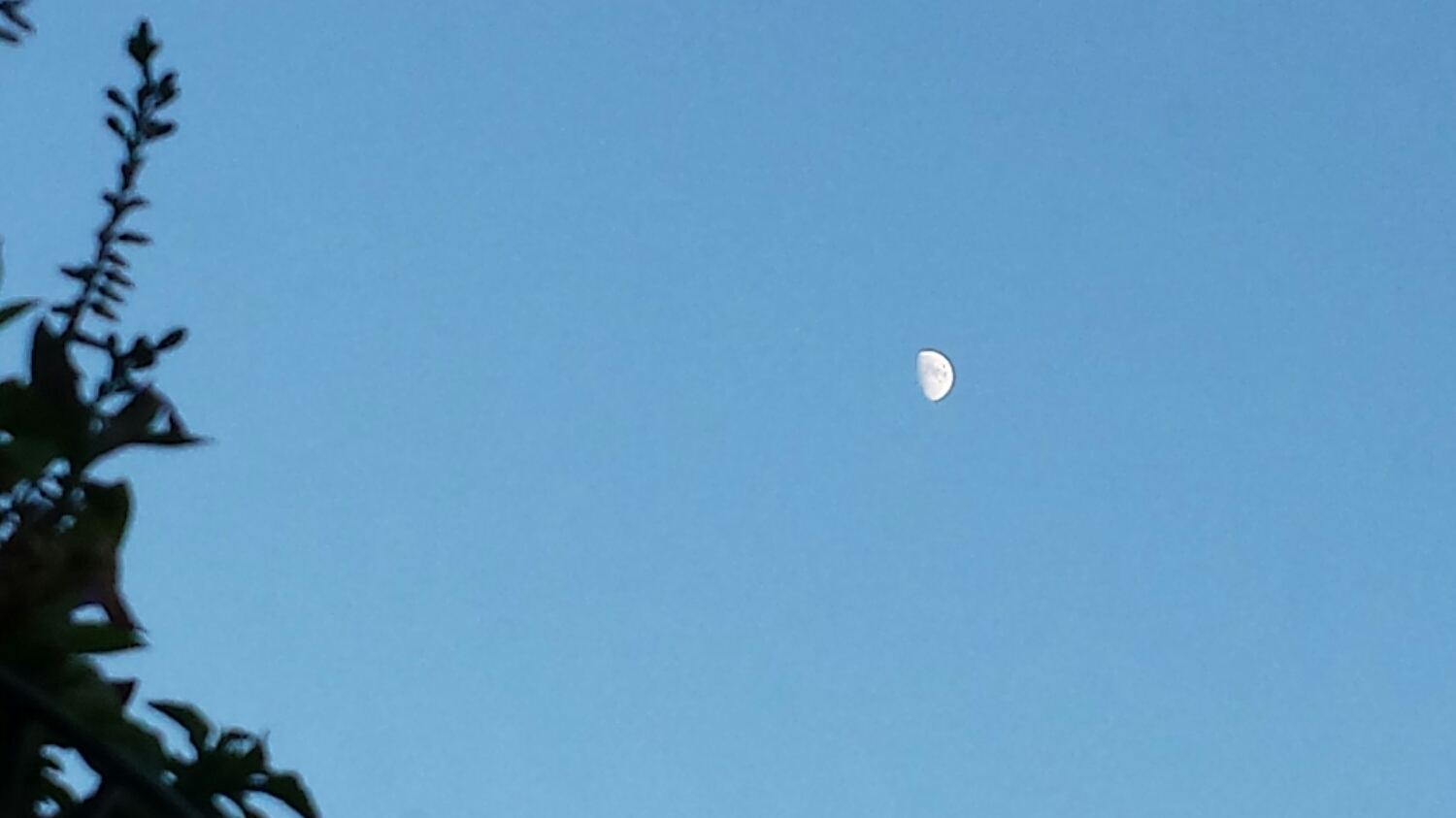 The moon
