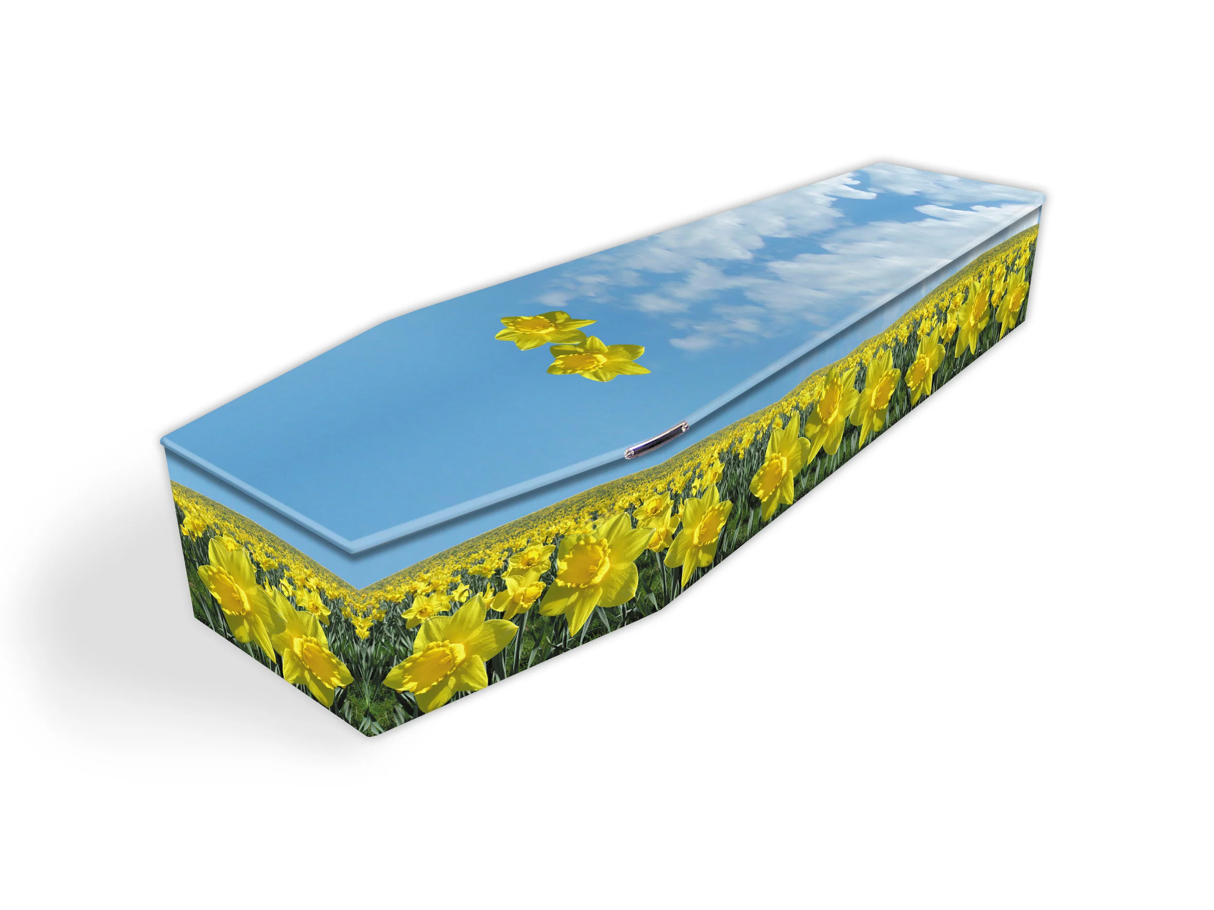 Cardboard coffins from £650