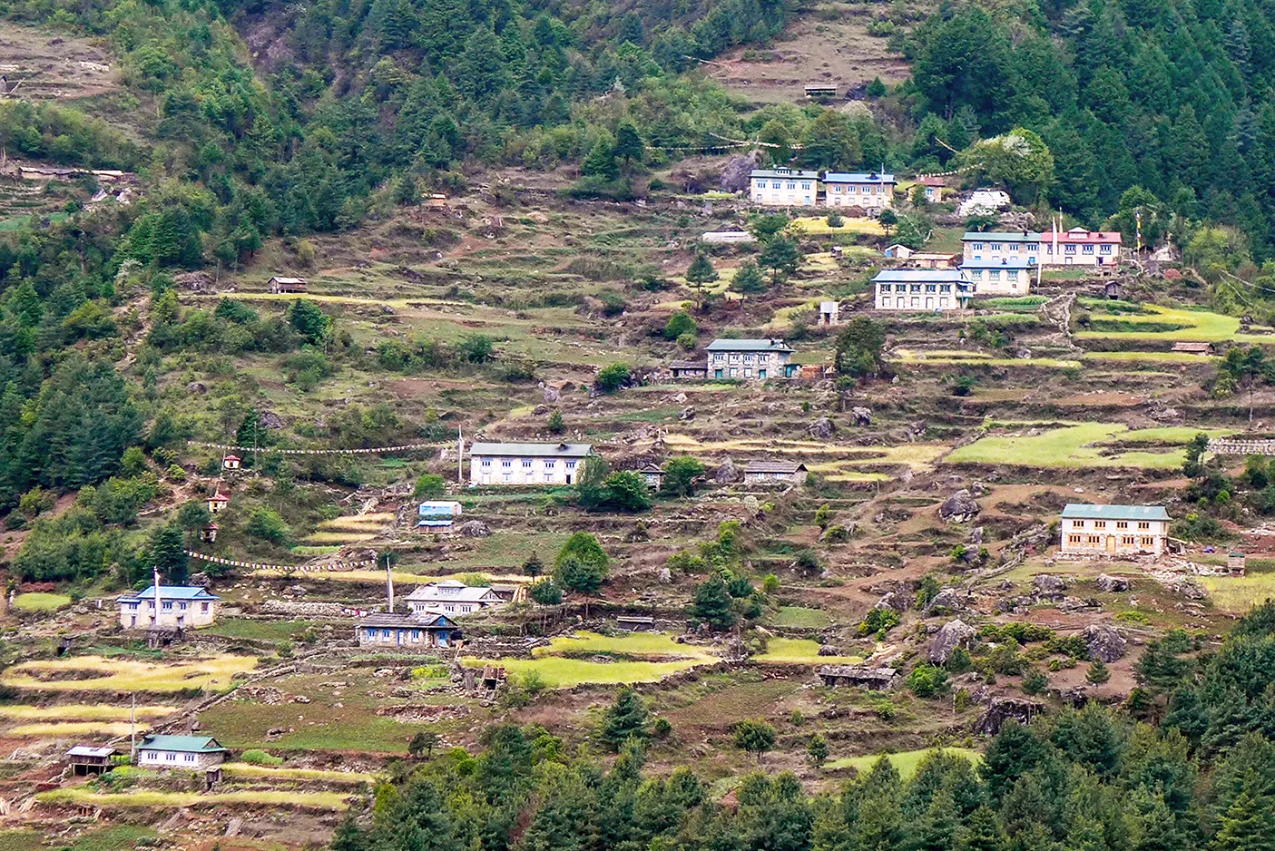 nepal web 20.jpg
