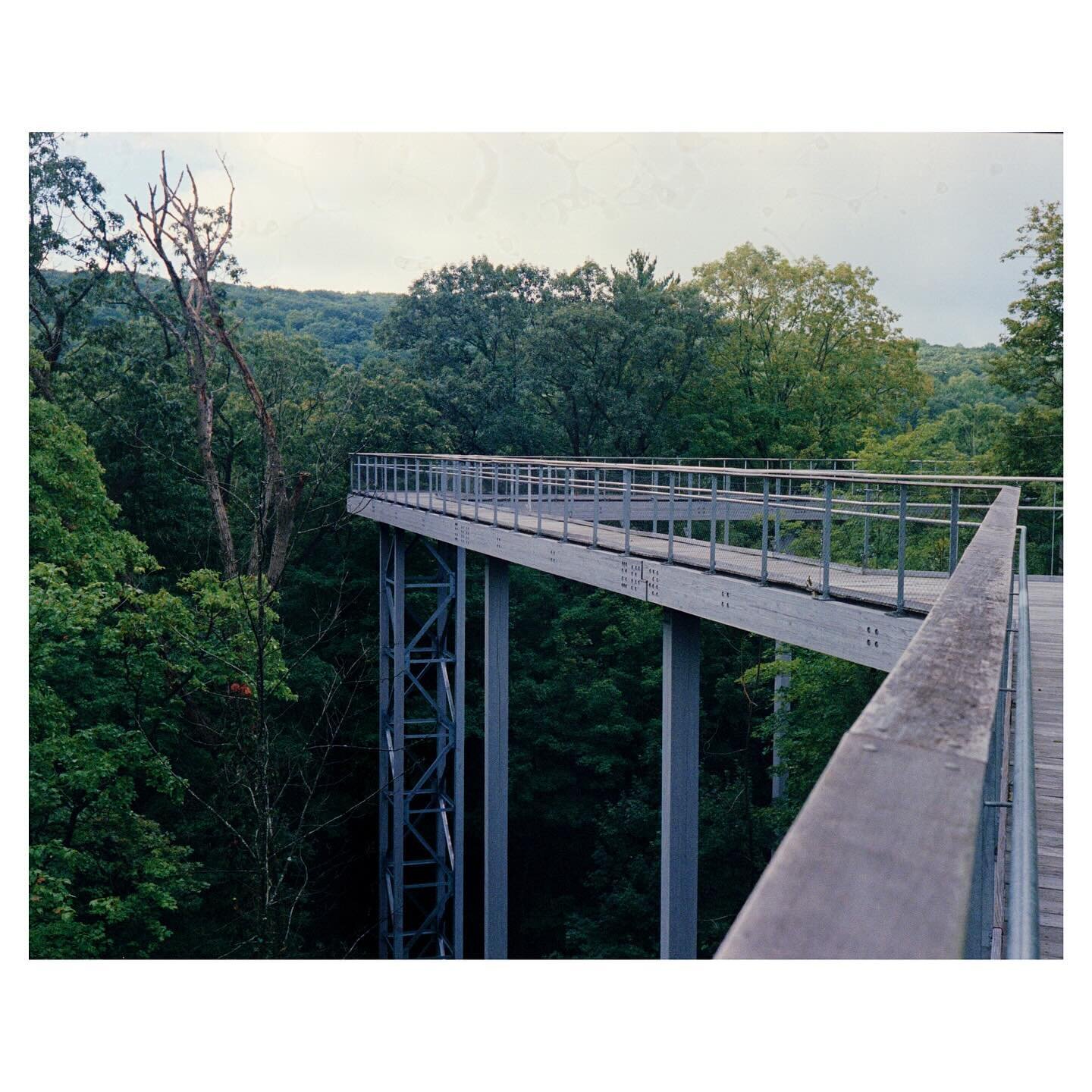 Skylands // Oak Ridge, NJ