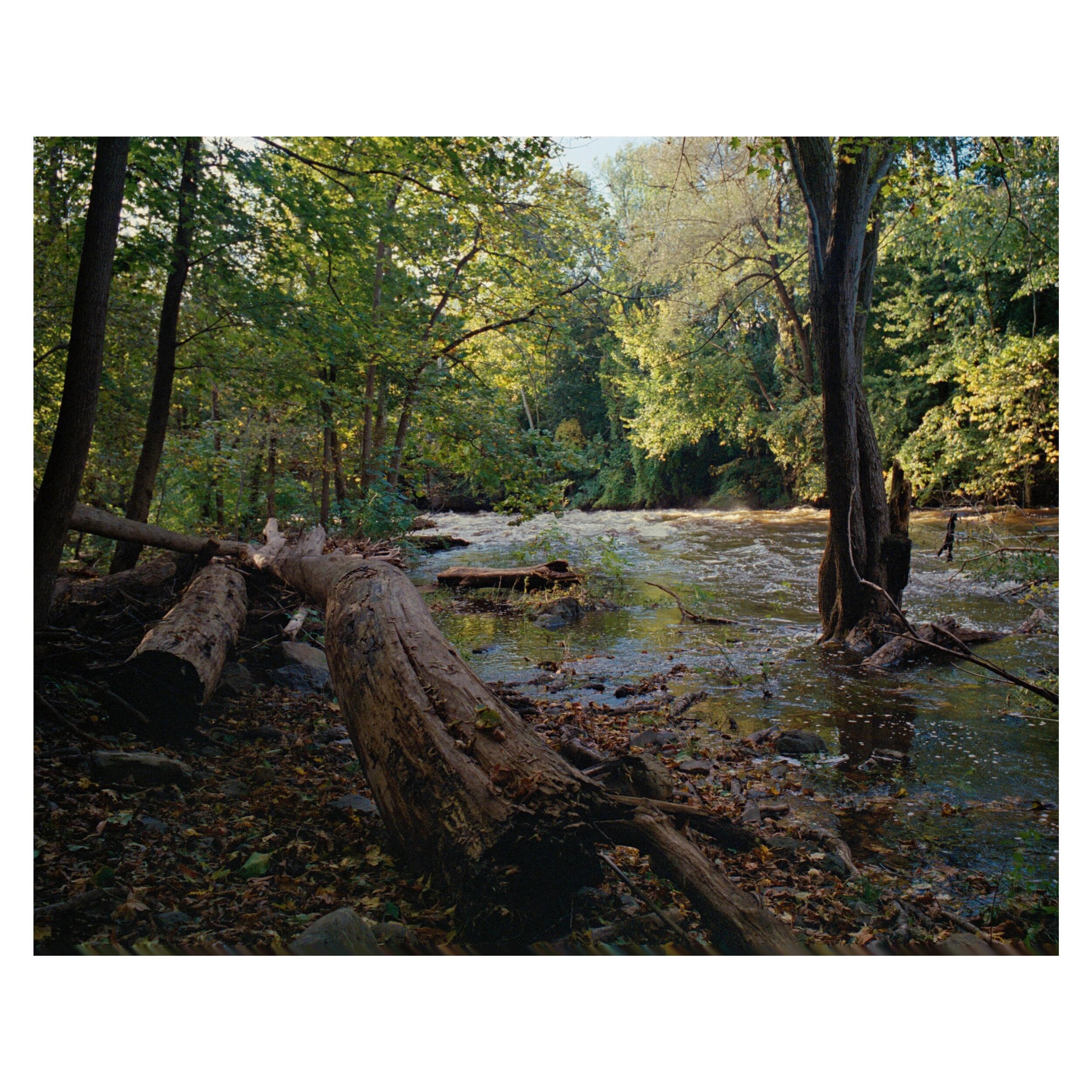 Rapids // Beacon, NY