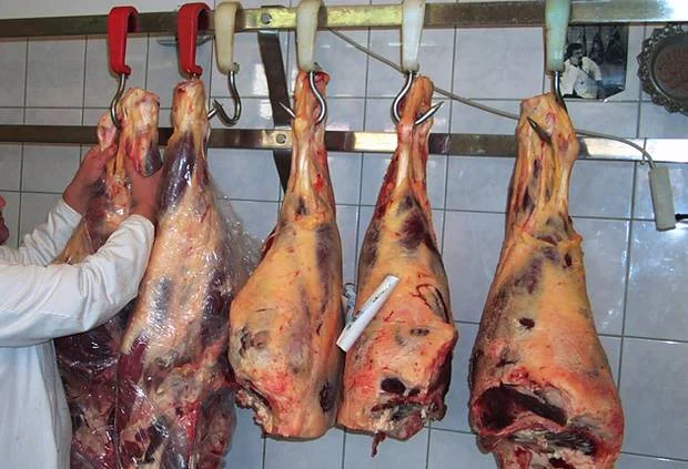 Top Vet calls for ban on slaughter without prior-stunning