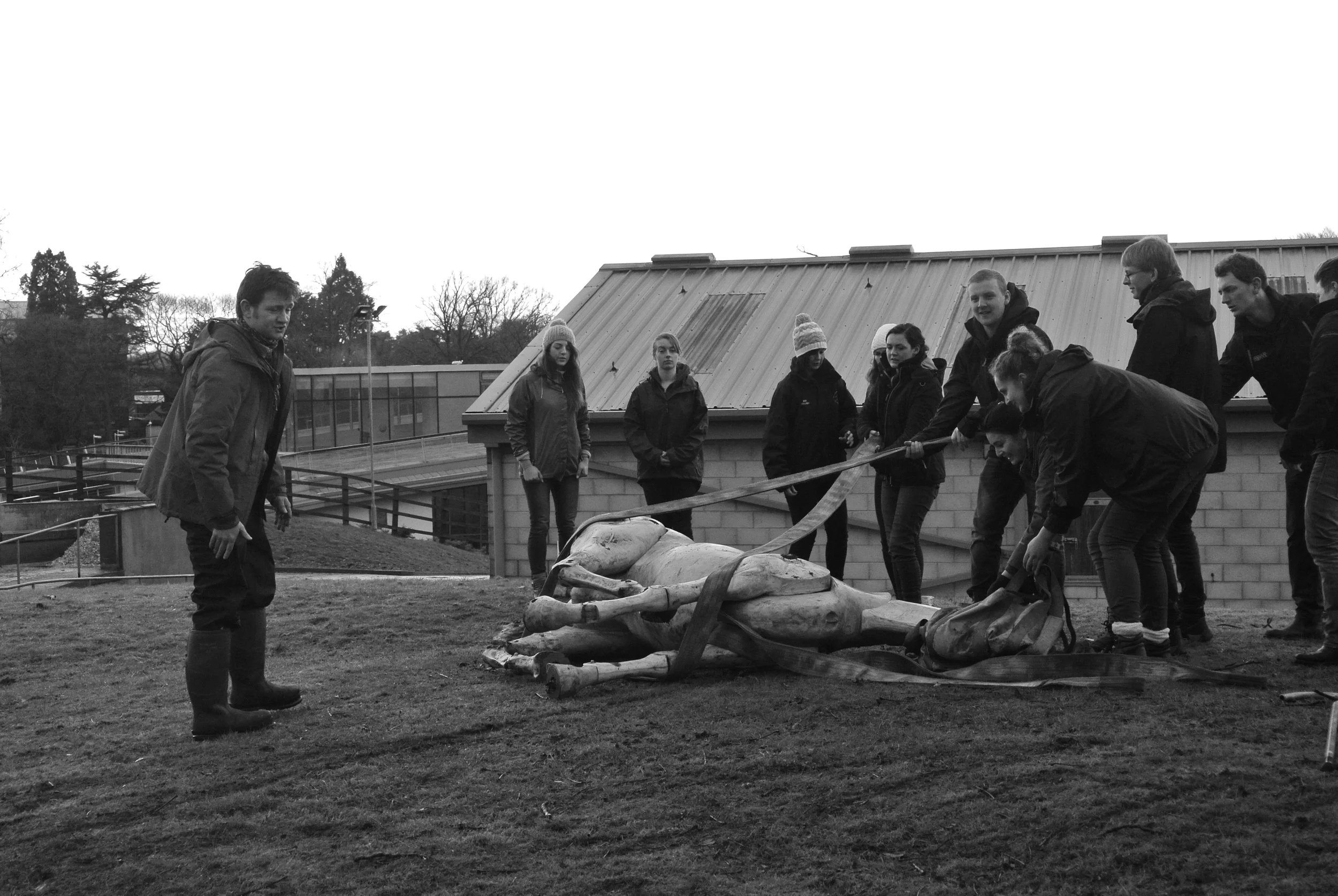 AVS Launches Pre-Clinical EMS Guide