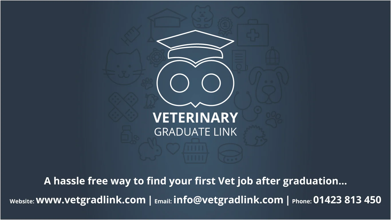 Vet Grad Link