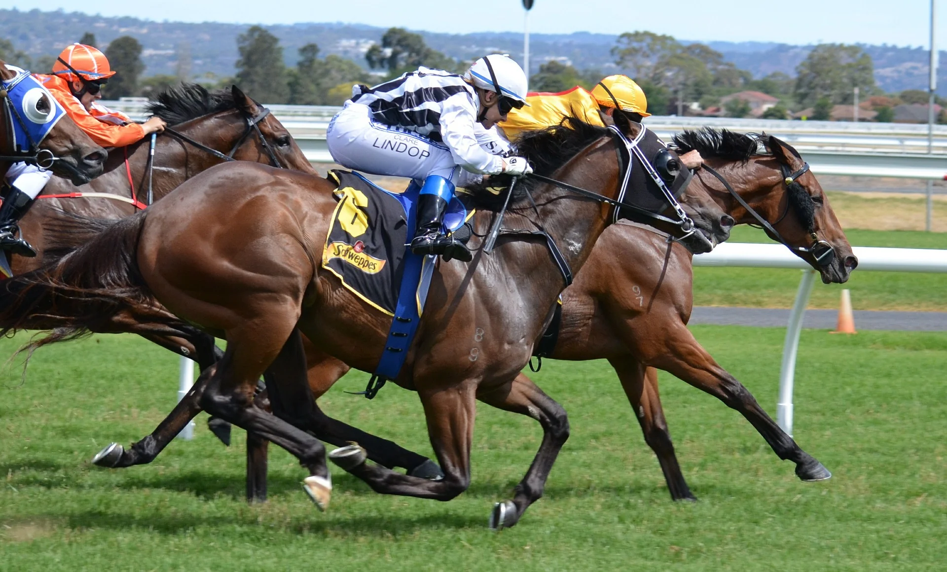 Has the Grand National Done Enough to Protect the Safety of its Jockeys and Racehorses? 