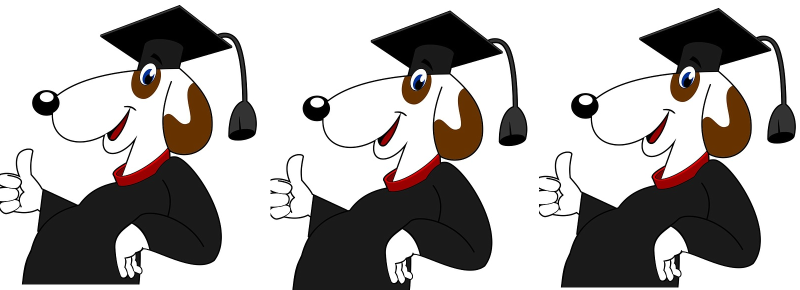 Gradute Blog - Who Would Have Thought a Year Could Go So Fast? 