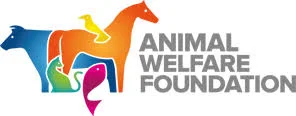 The BVA 2017 Animal Welfare Foundation Discussion Forum