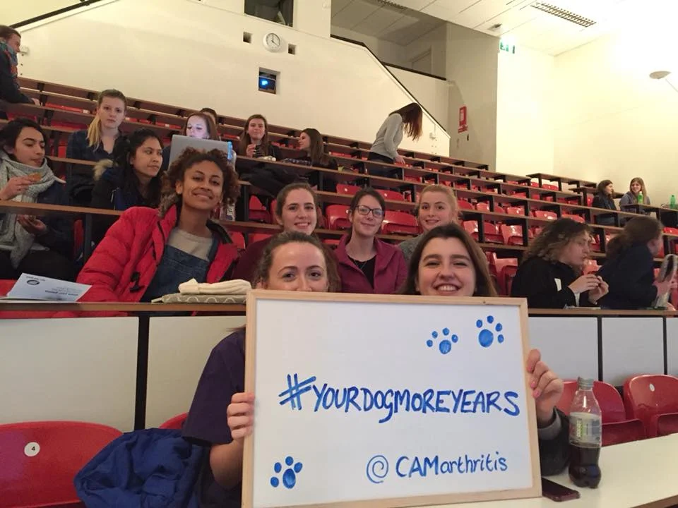 Canine Arthritis Management - #yourdogsmoreyears