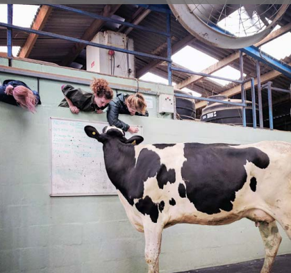 AVS launches Clinical EMS Guide