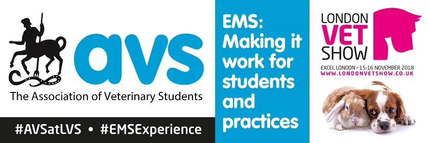 EXTRA MURAL STUDIES - Making it work for students and practices