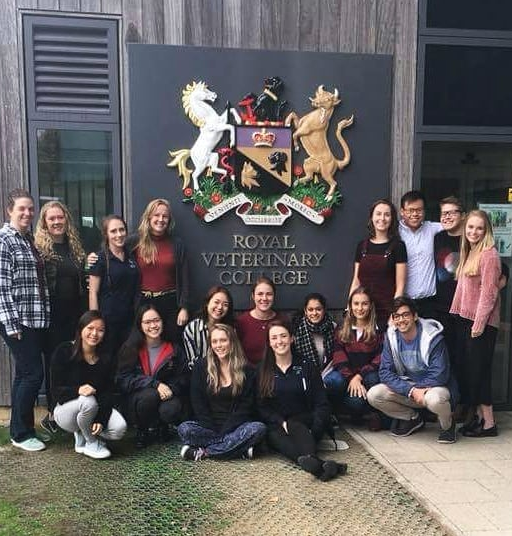 The 2018 IVSA Committee (as well as all the University representatives) at their first live meeting.
