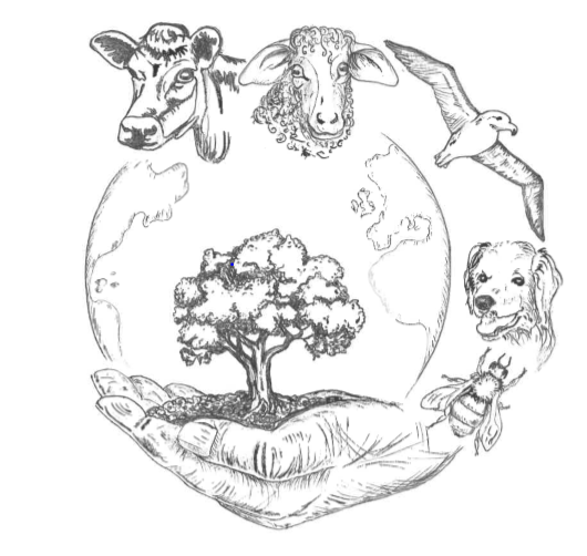 ‘Mining Diamonds’: VPHA &amp; AGV 2020 Conference adapting to the virtual era