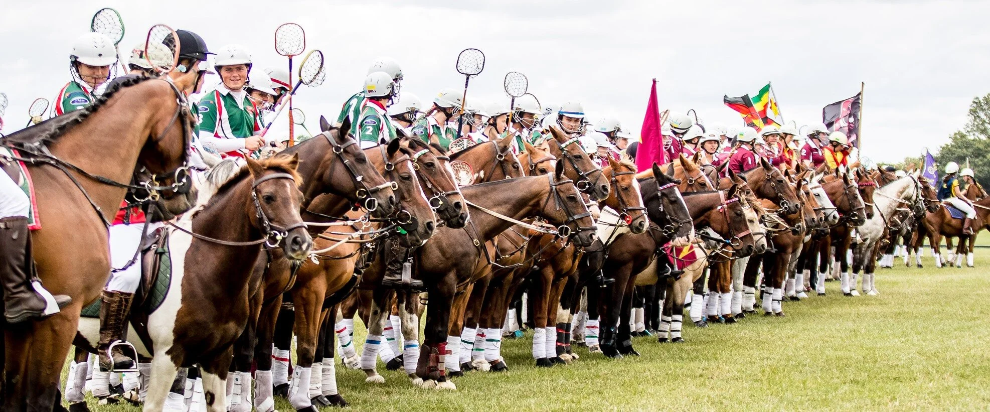 Polocrosse – the most fun you can have on a horse?