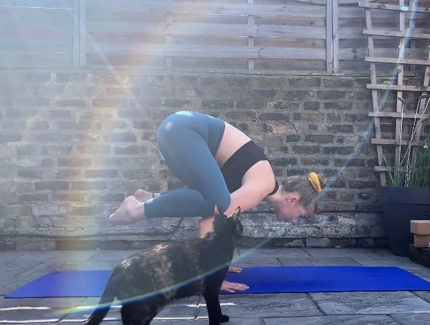Yoga and Vetmed - An interview with Lucy Newman