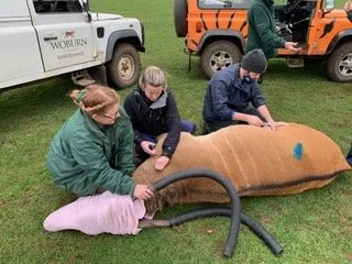 AVS EMS Grant - Zack Pollack