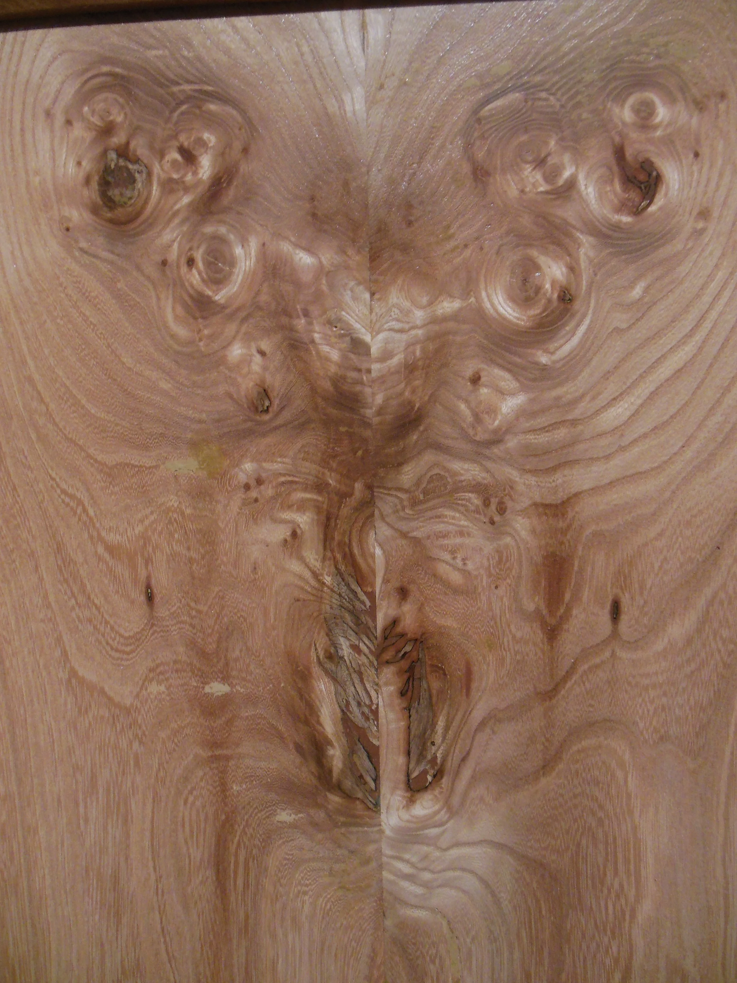 Essences de Bois / Wood Species