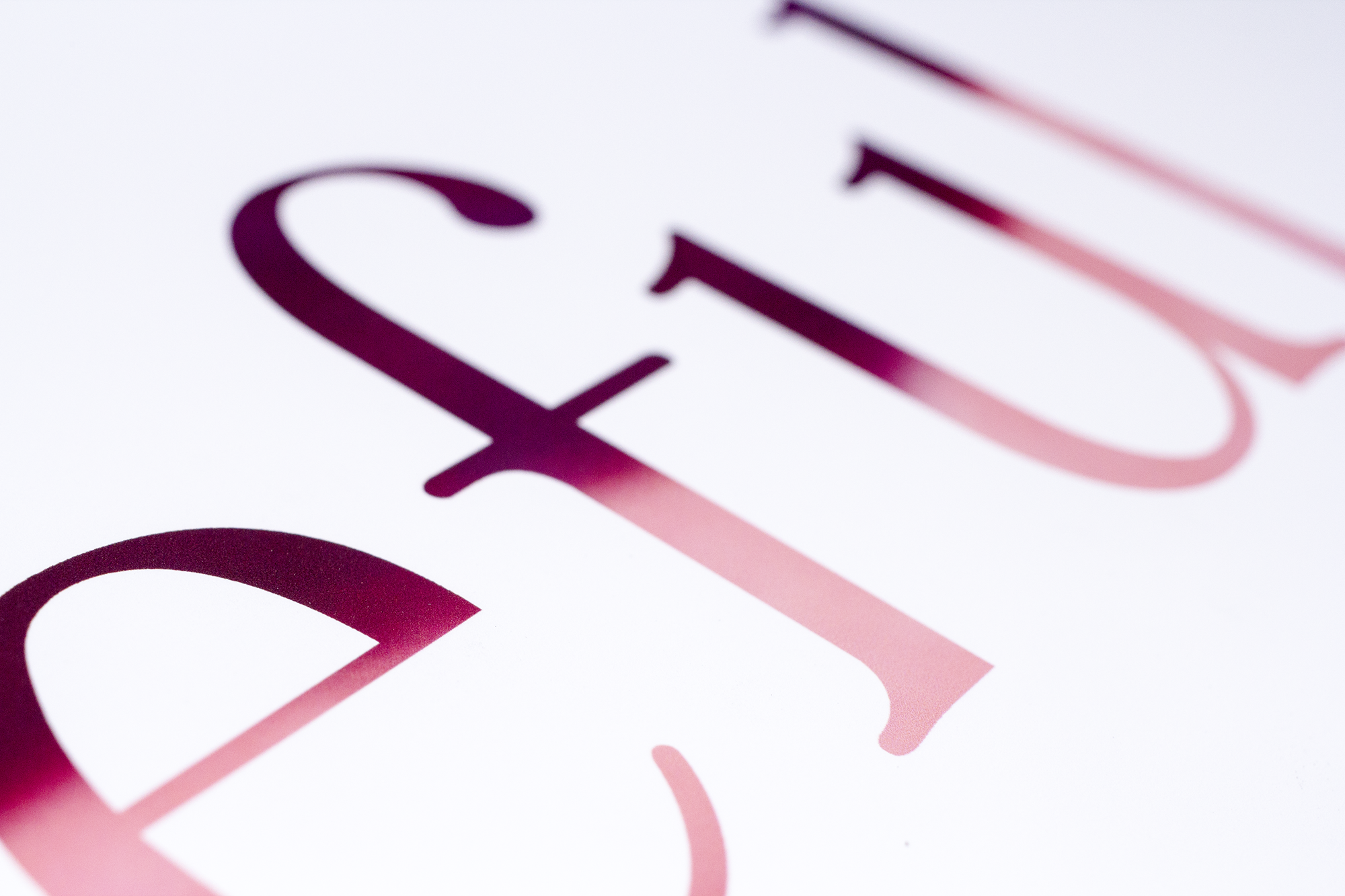IMG_6286.png