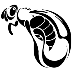 elegant.png