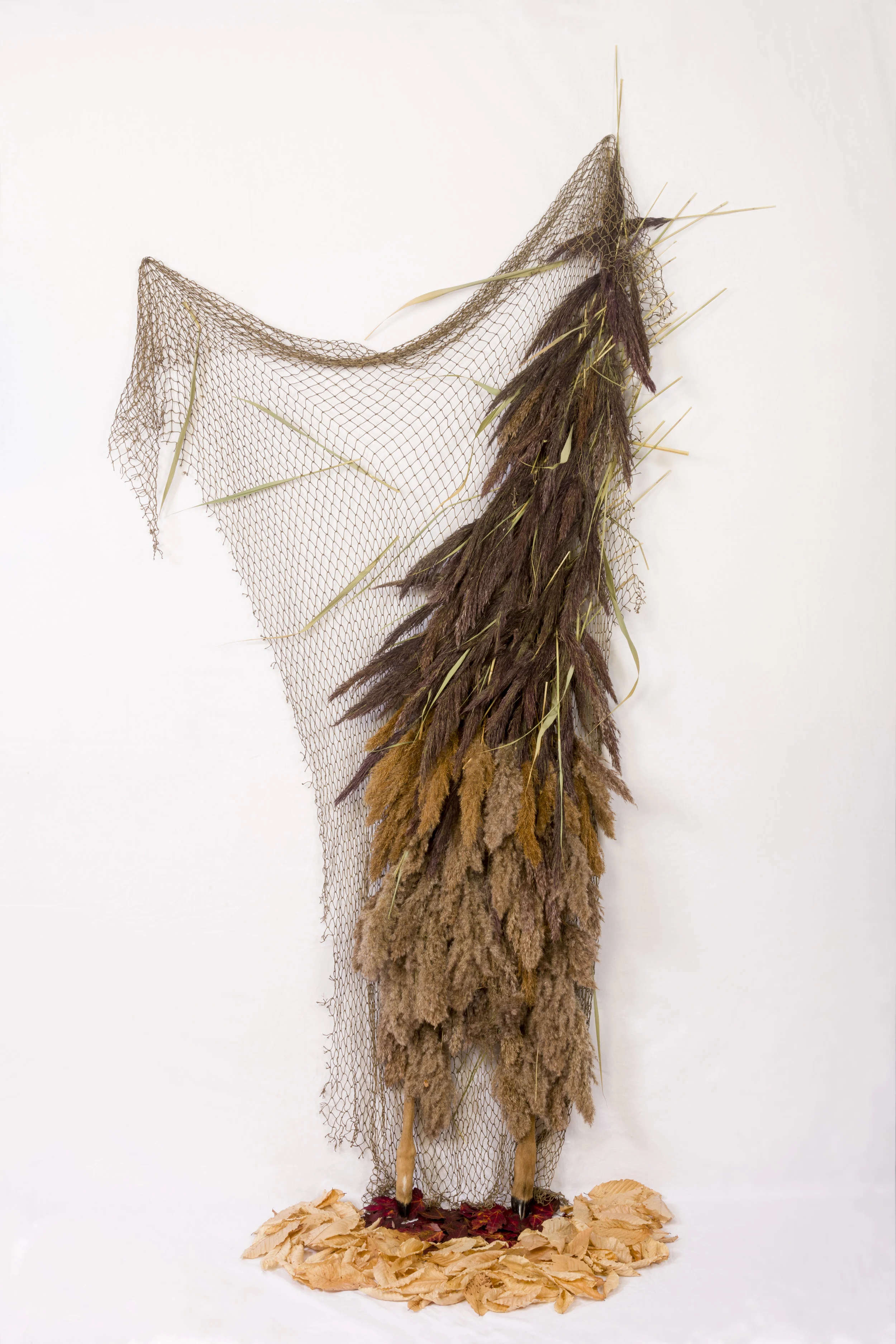 Pelt