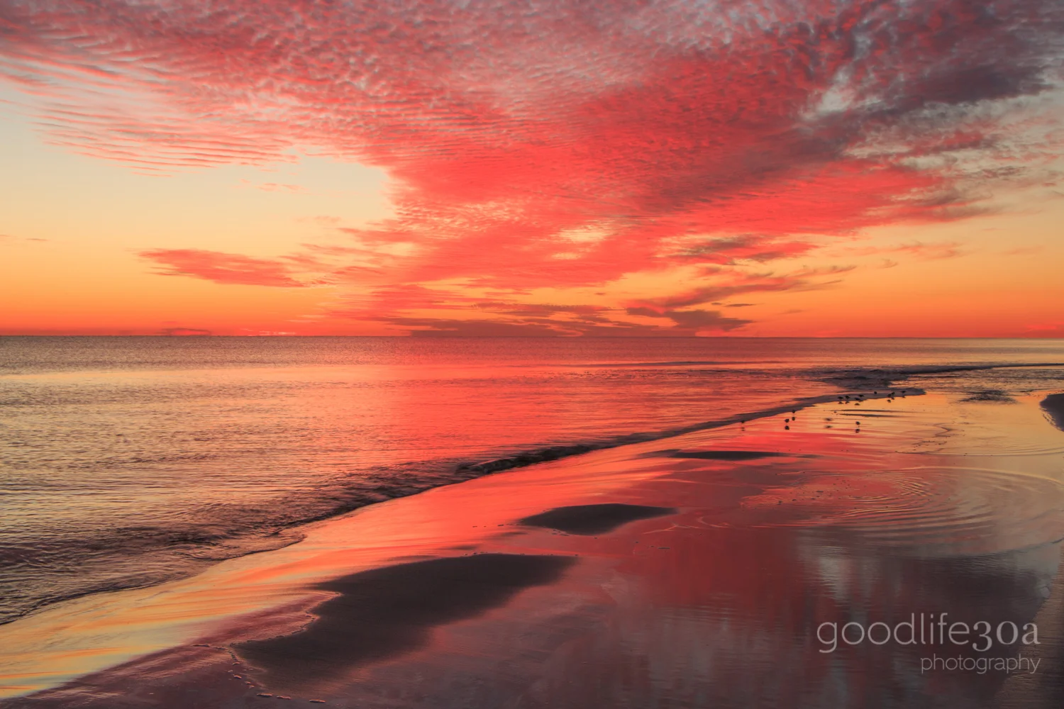 sunsets - pink with pipers at shore.jpg