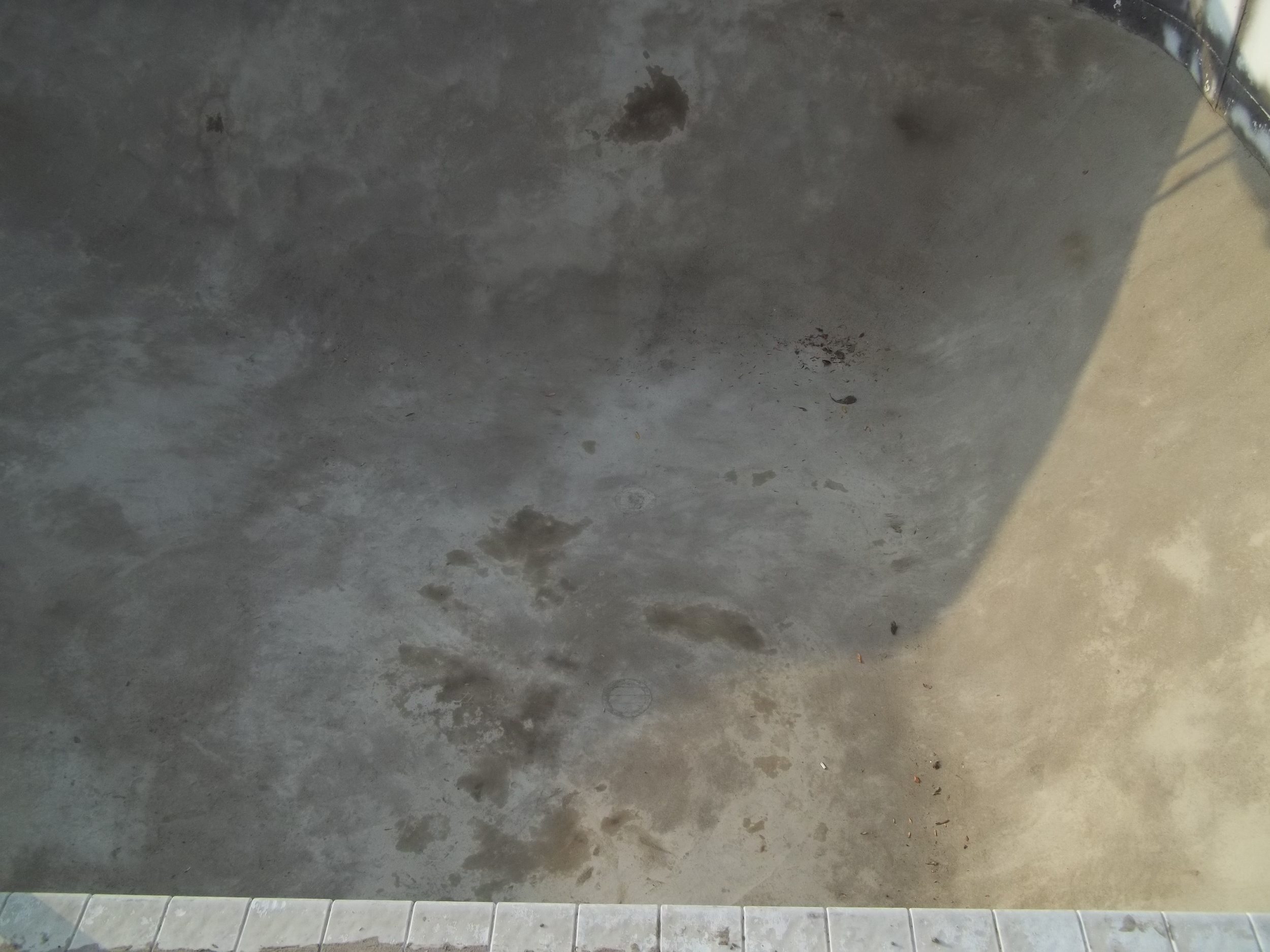 Pool Pics 250.JPG