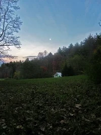  View of Laurence's studio along the edge of the Chattahoochee National Forest
