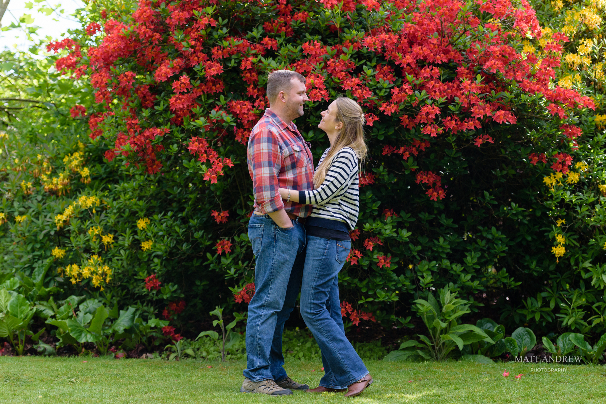 Elvaston Castle country park engagement shoot