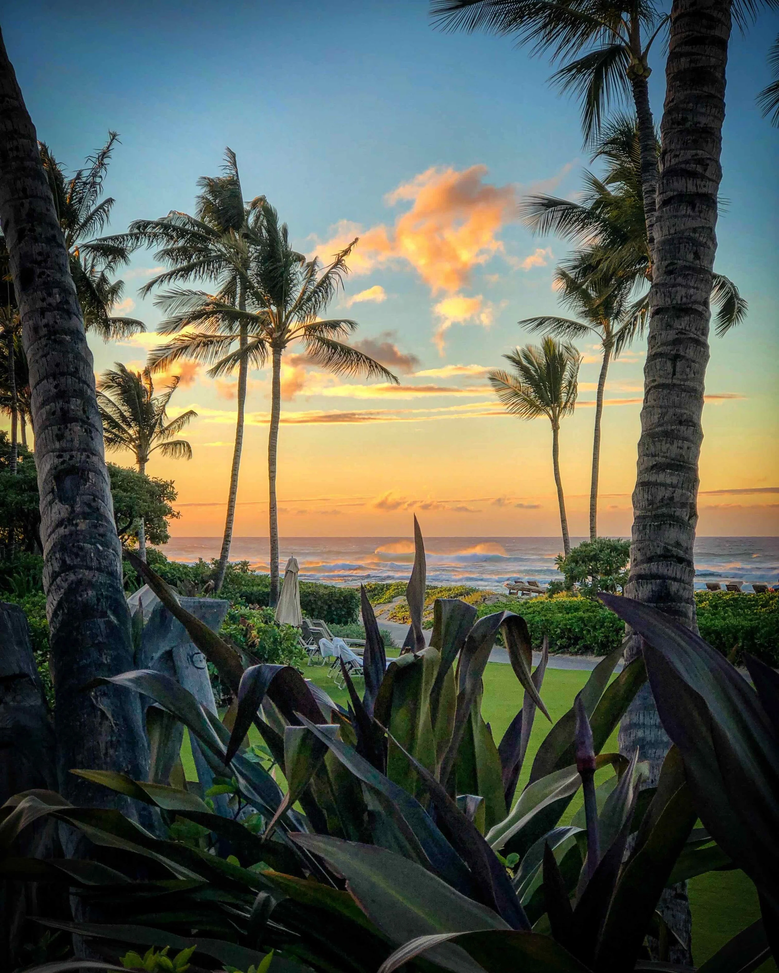 Hualalai by Mark k Ley Web.jpeg