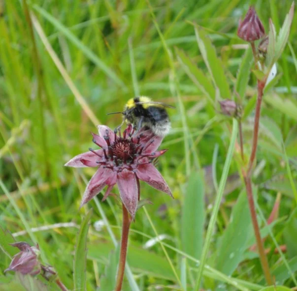 It's the little things