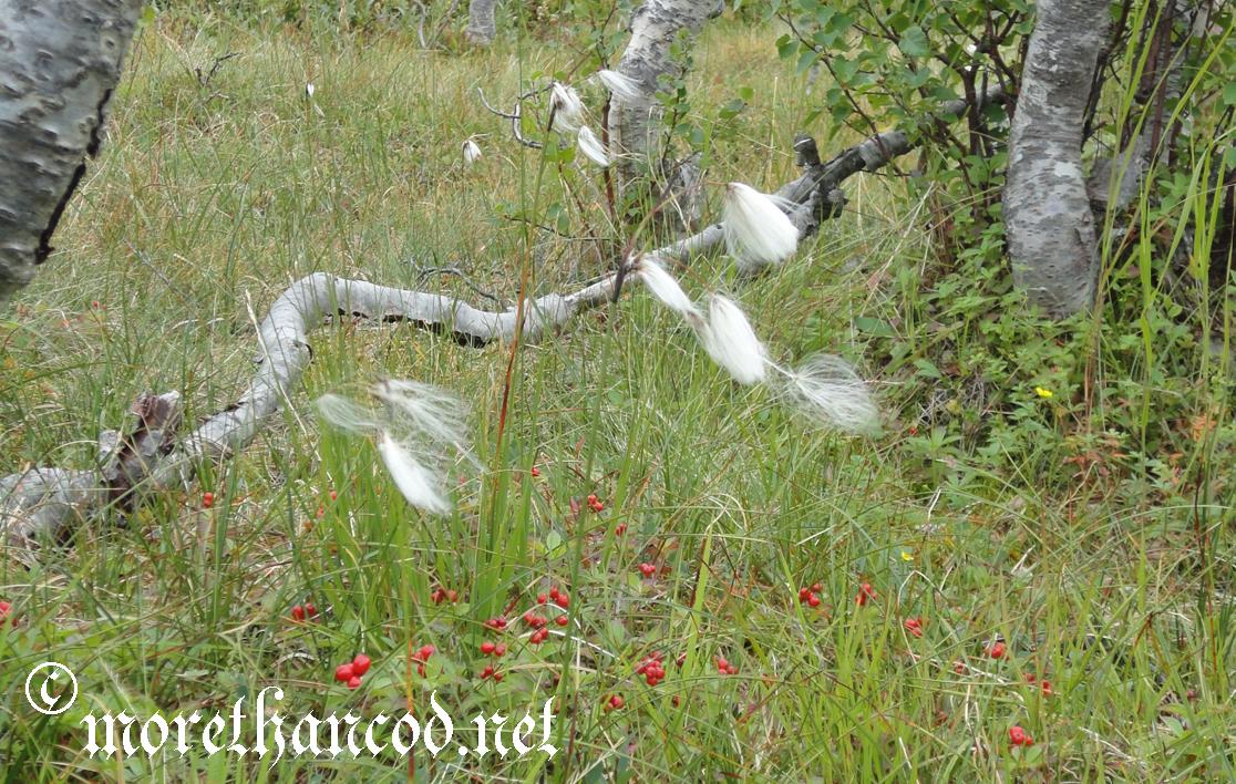 Meet Thora: Livin' on the Edge