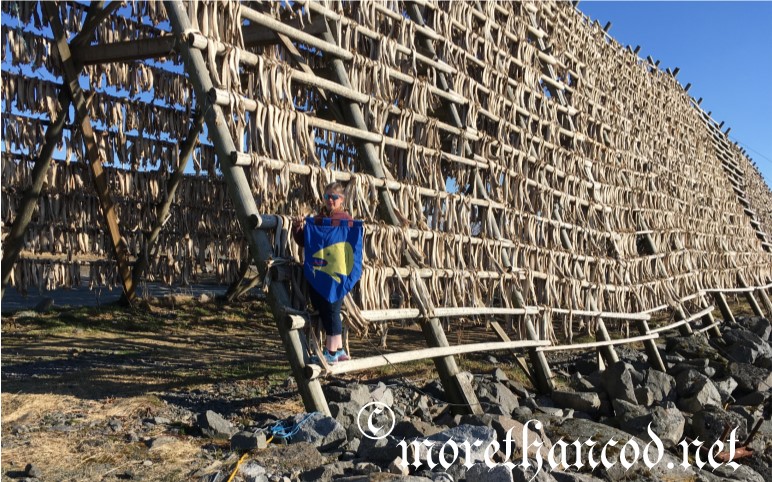 Admiral Þora Displaying her Arms (Azure, a cod head Or) standing on a drying rack full of stock fish.