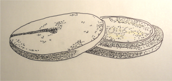 Finds from the Latrine: A Silvered Salve Box from Oslo