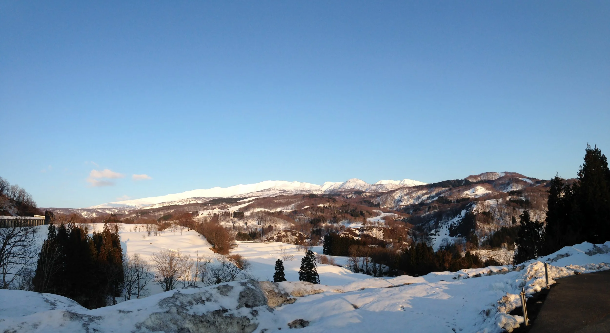 March 2016, sunlight on snow.