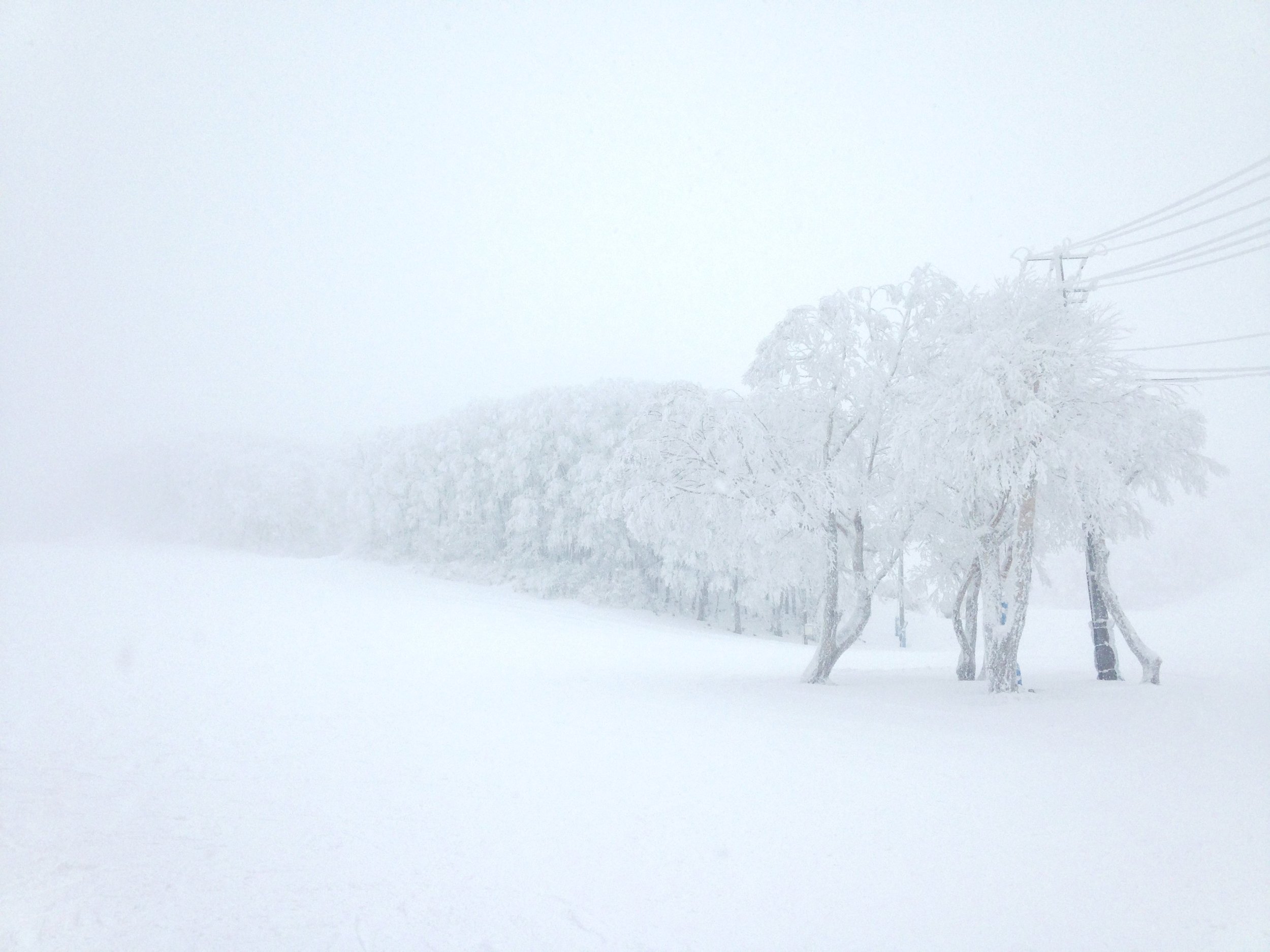 One of those days when all color is drained from nature, at my "home" ski-場, Zao Onsen, Yamagata.