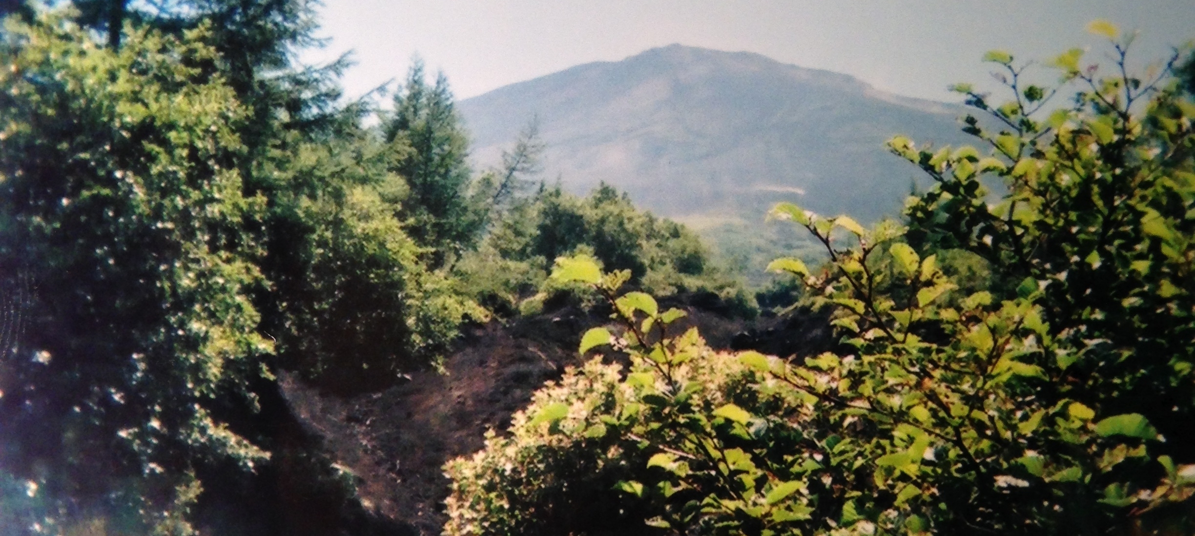 The peak far ahead, from the Subashiri trail.