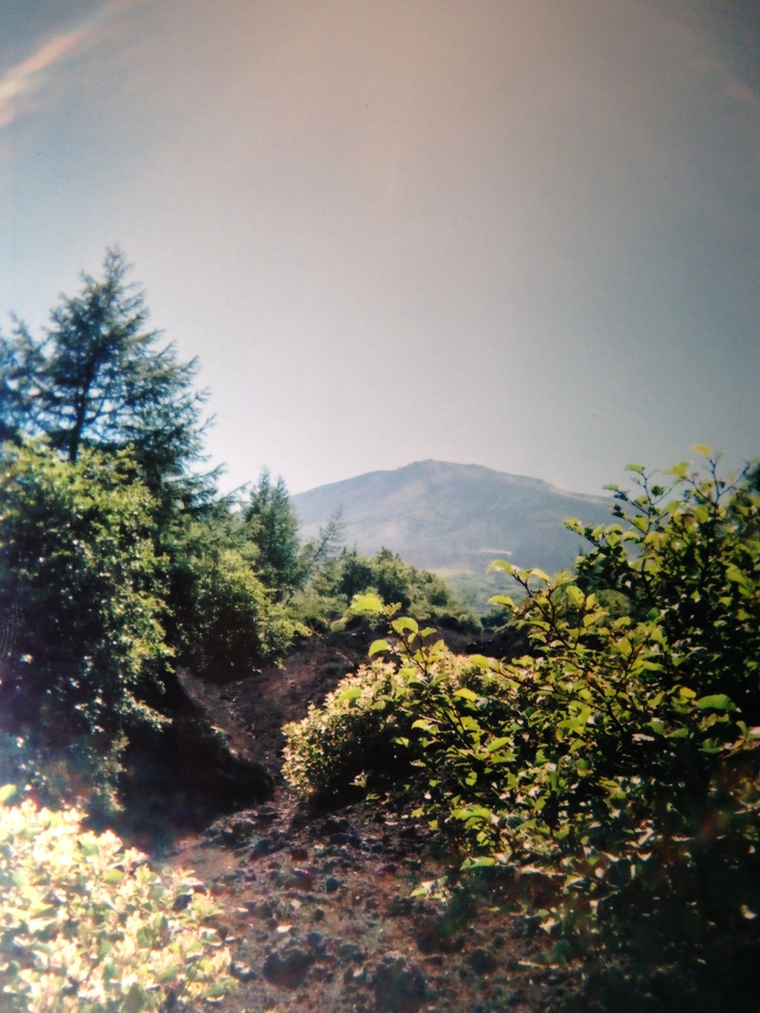 (Mount) Fuji on Fuji (Film)