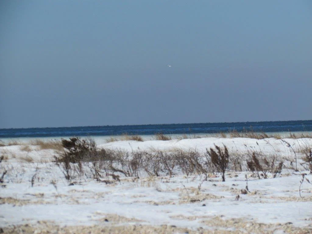 IMG_1821.jpg