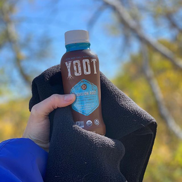 Taking a break from Thanksgiving prep &amp; resetting with a bottle of #yoottea &amp; a cozy walk outside.
➡️ Did you know dandelion root helps maximize your liver functions while chai spices like cinnamon &amp; cardamom help regulate blood sugar lev