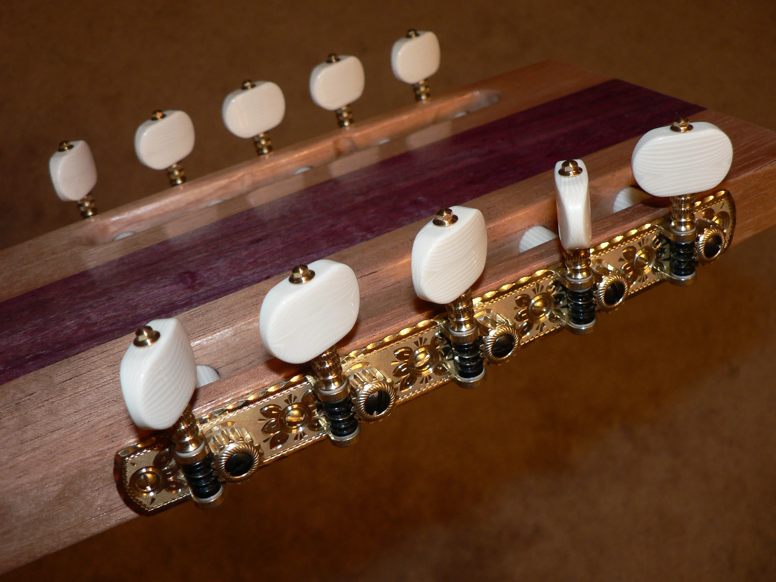 Rubner 10 String Custom Luxury Engraving