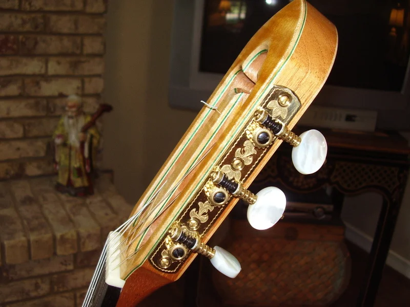 Carrington No. 296