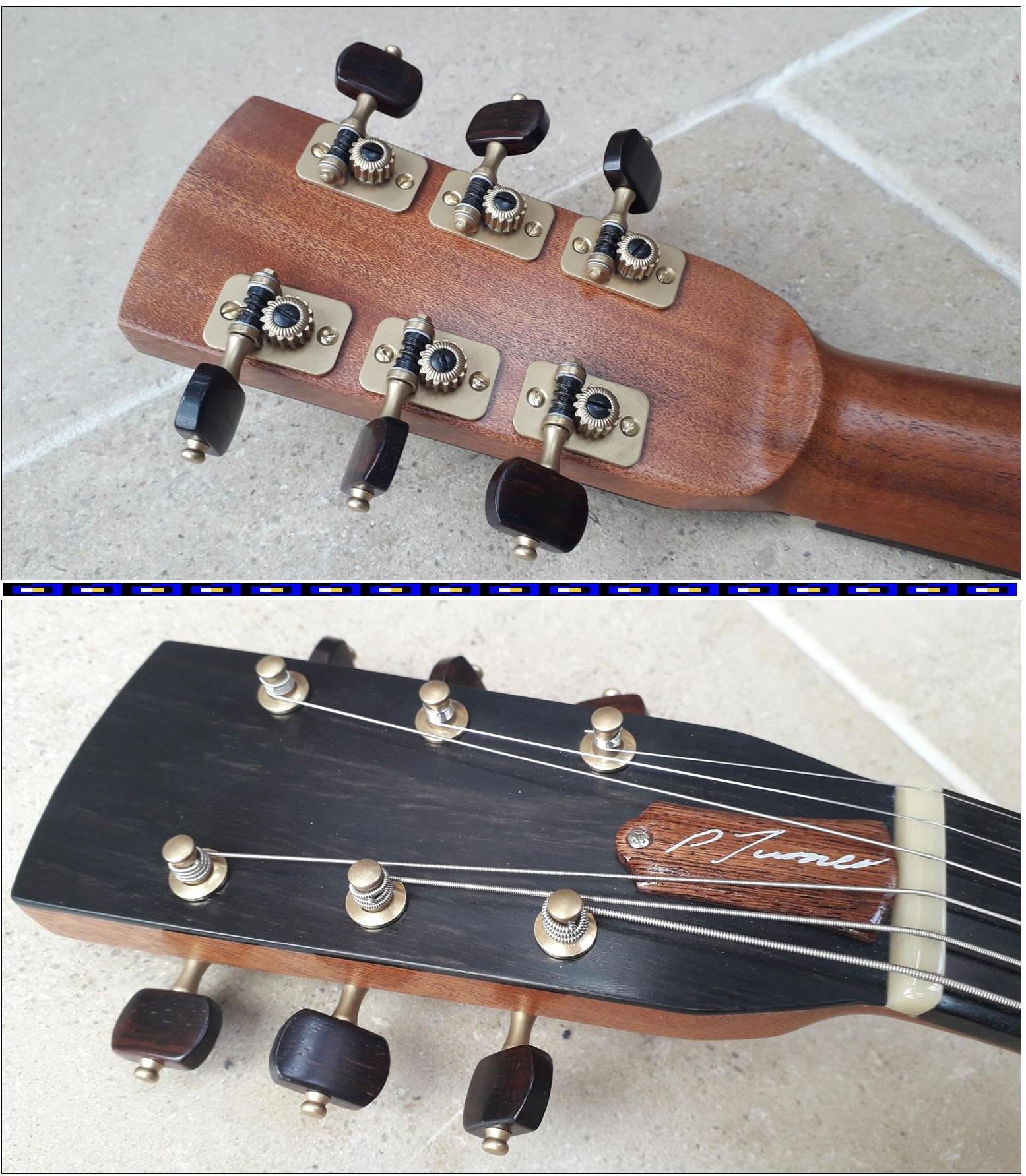 Pete Turner Resonator Guitar