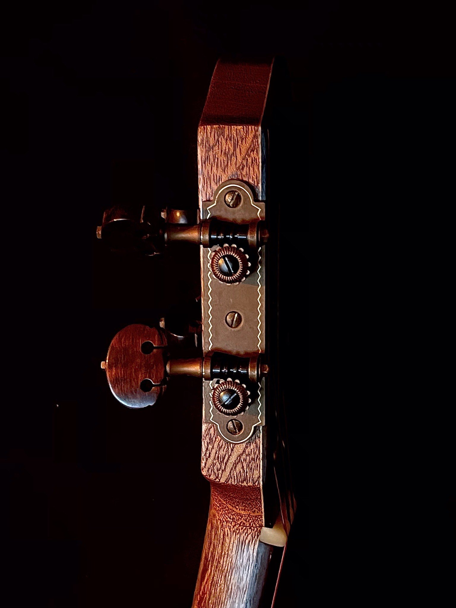 Oliver Pijoan Ukulele