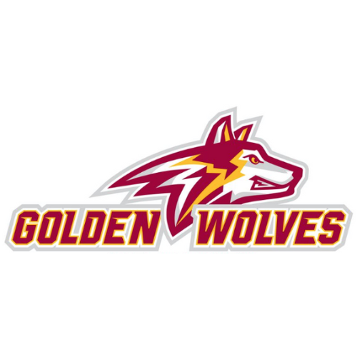 Untitled design (20).png