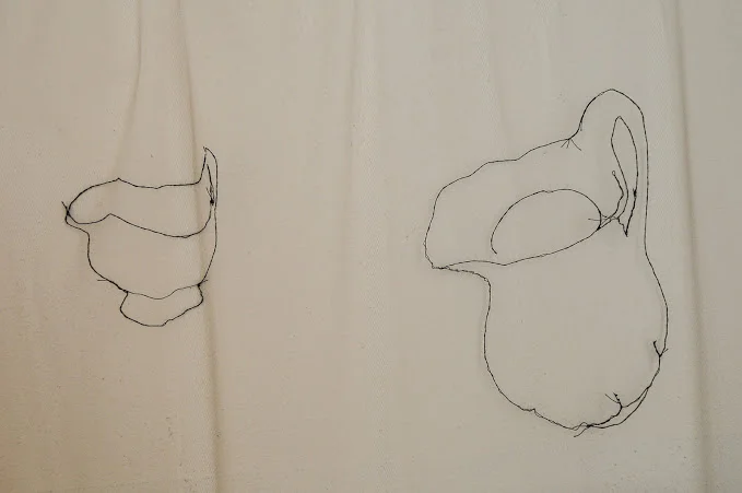 SAUCIERES, 2014 ricamo su tulle